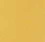 Metallics Van Bleiswijck gold