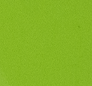 Regular Van Bleiswijck brilliant green