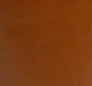 Regular Van Bleiswijck brown